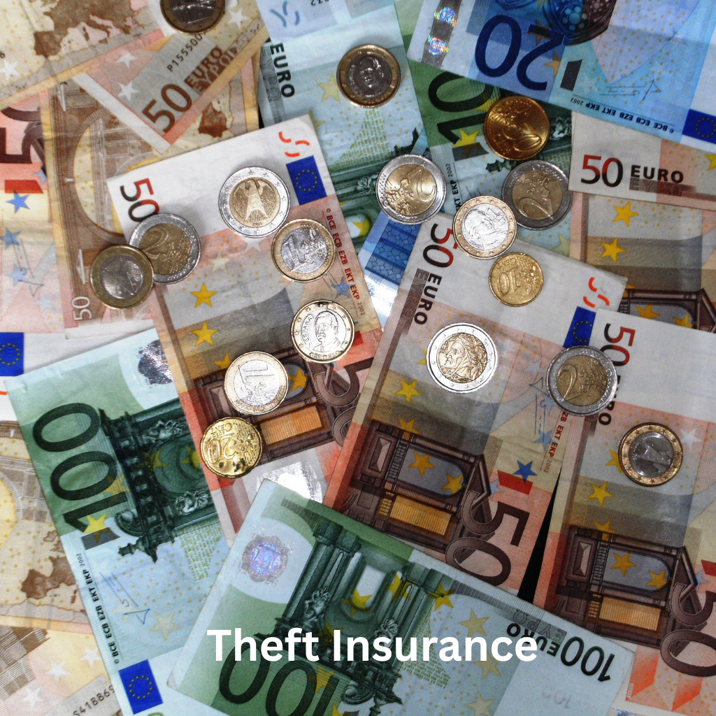 theft insurance